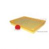 FILTRE A AIR INTERSTAR DCI 140