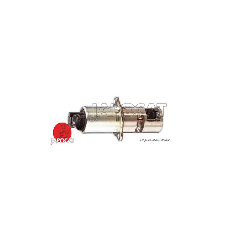 VANNE EGR INTERSTAR/KUBISTAR