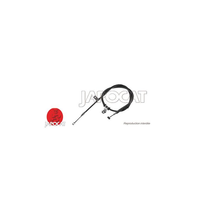 CABLE F.A.M ARG CAPTIVA