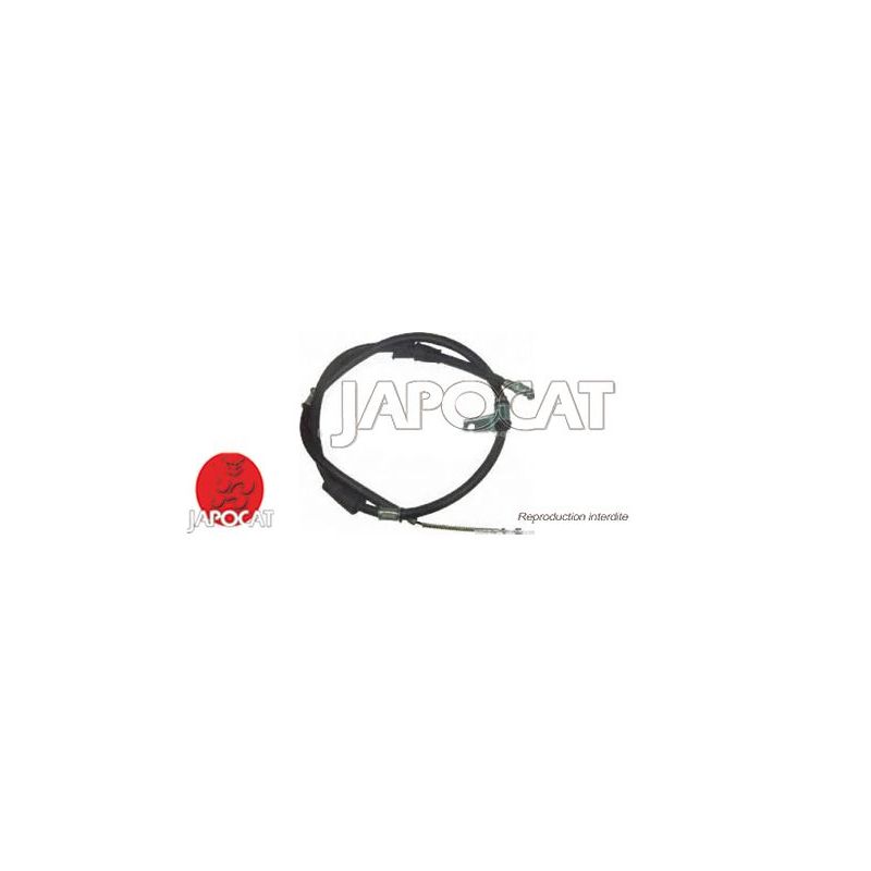 CABLE F.A.M ARG ACCENT 02>