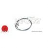 CABLE F.A.M ARG VERSO