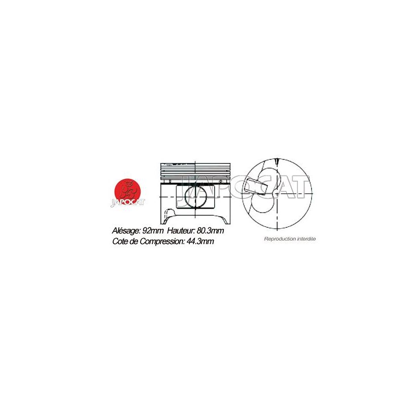 KIT PISTONS 2LN