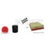 KIT FILTRATION + BOUGIES DISCO II 4
