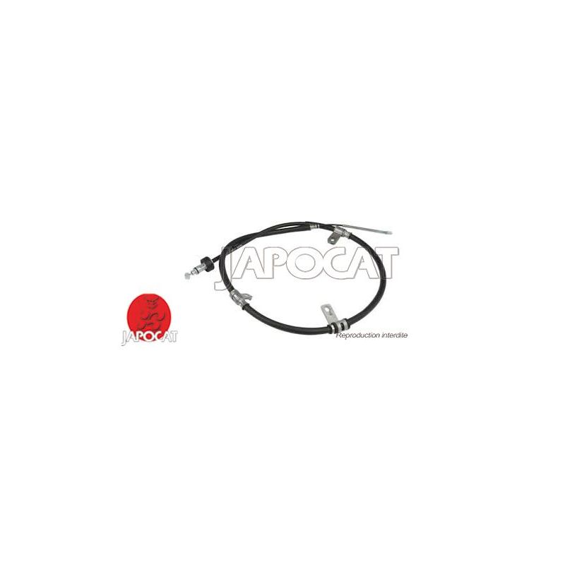 CABLE F.A.M ARG PICANTO