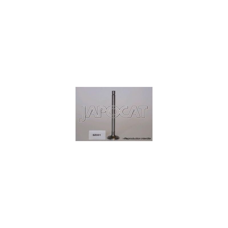 SOUPAPE ECHAPPEMENT F10A