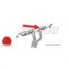 TUYAU INJECTEUR NO4 1HDFTE ORIGINE