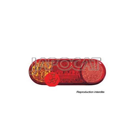 FEU ARG H100 04>