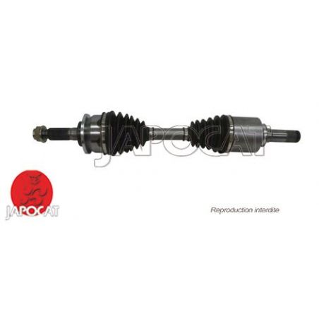 CARDAN AVD RANGER 11>