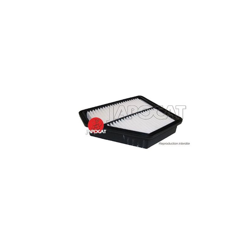 FILTRE A AIR GENESIS >03/12
