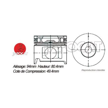 KIT PISTONS 1HDFT