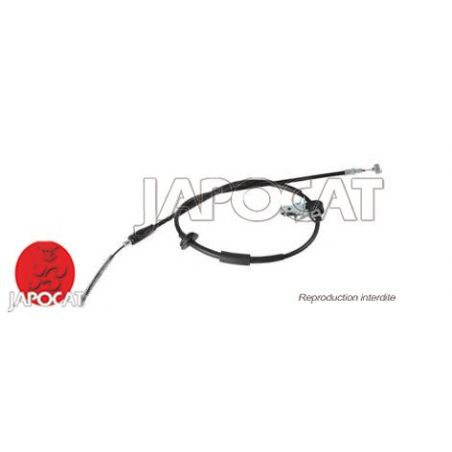 CABLE F.A.M ARG IGNIS >03