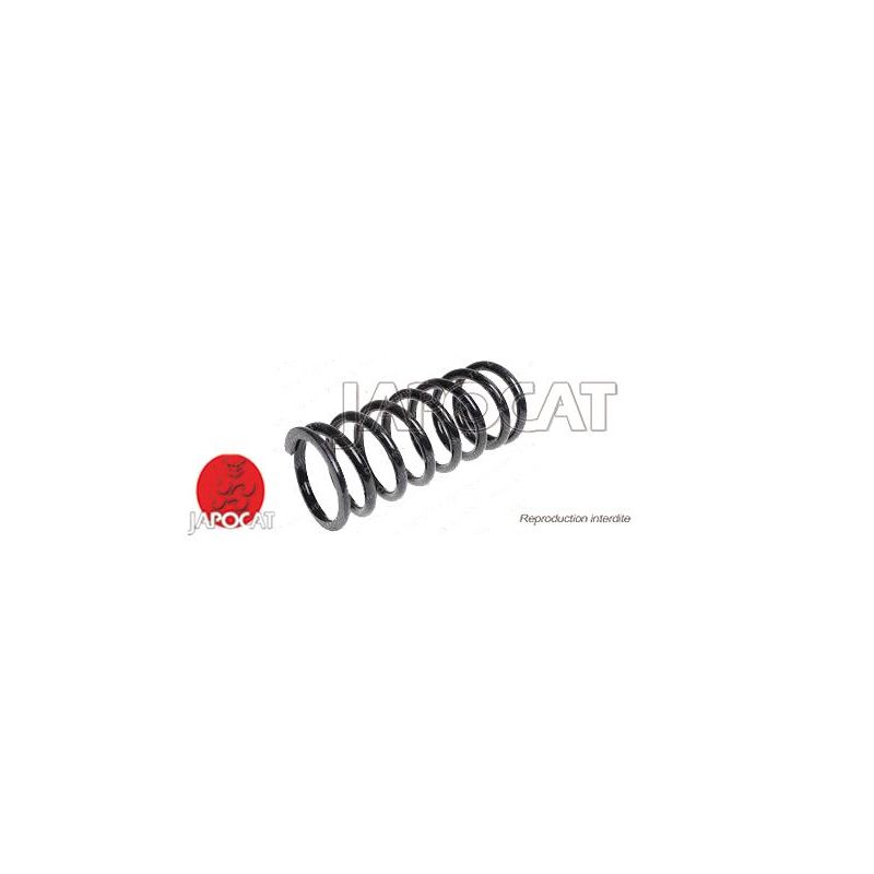 RESSORT HELICOIDAL AR 110