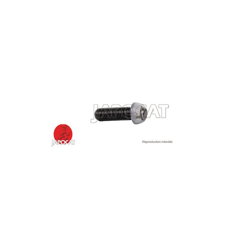 VIS DE REGLAGE BASCULEUR 4D56