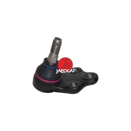 ROTULE INF AVD SERENA