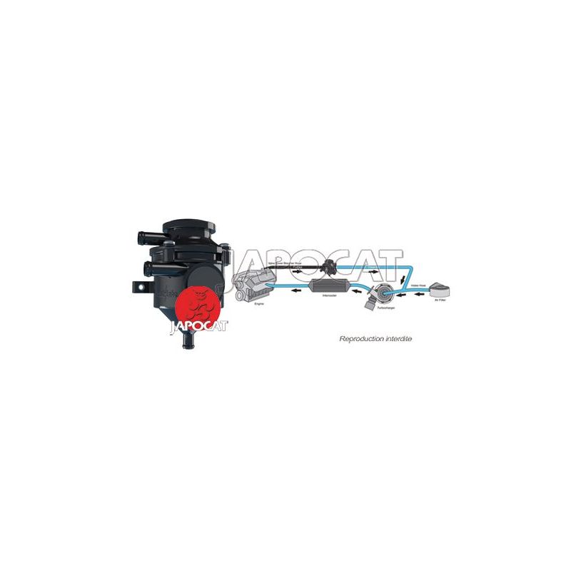 FILTRE EGR CATCH CAN