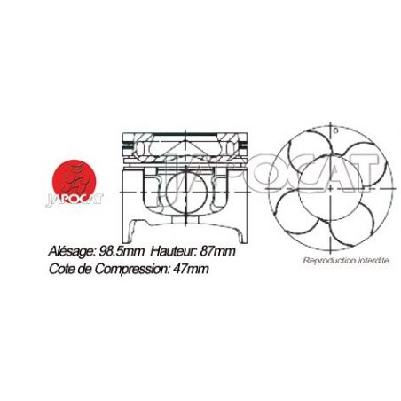 KIT PISTONS 4M41T
