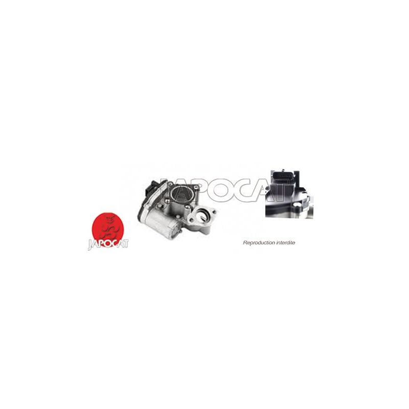 VANNE EGR 2.0DCI