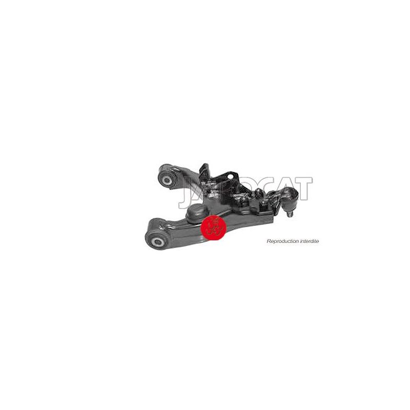 TRIANGLE INF AVG SORENTO