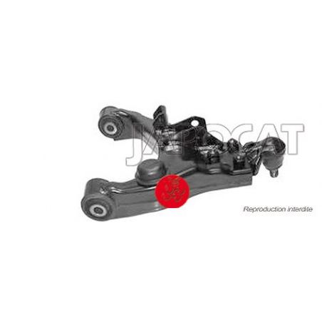 TRIANGLE INF AVG SORENTO