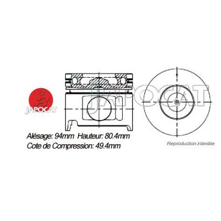 KIT PISTONS 1HDFTE