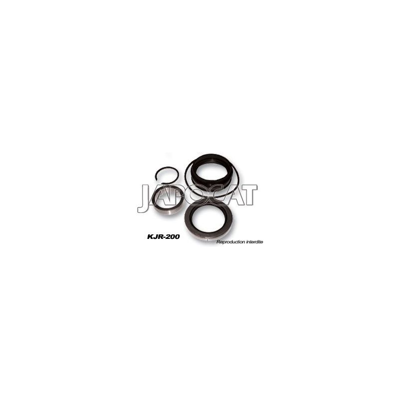 KIT JOINTS DE ROUE AR LN165