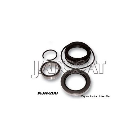 KIT JOINTS DE ROUE AR LN165