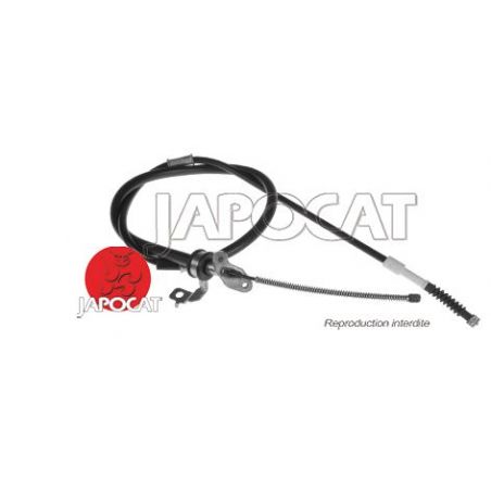 CABLE F.A.M ARG A20