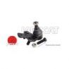 ROTULE INF AVG RX II/PREVIA