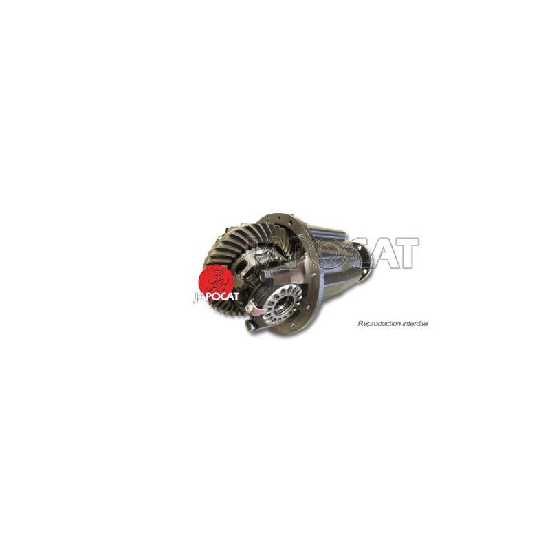 NEZ PONT AV J8 10x41 +BLOC ORIGINE