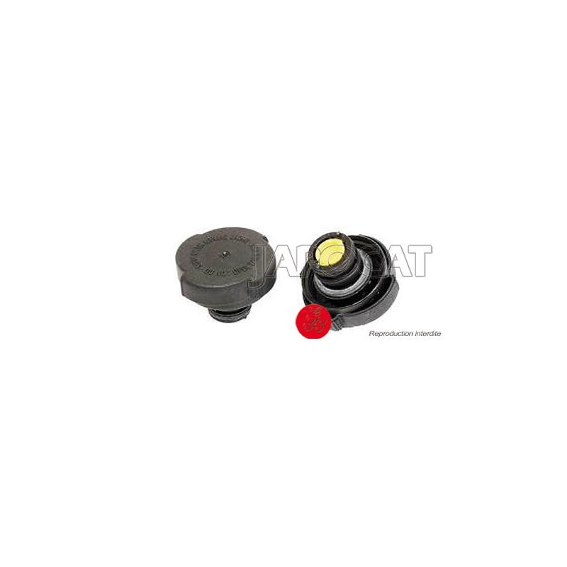 BOUCHON DE VASE D'EXPANSION 25DT