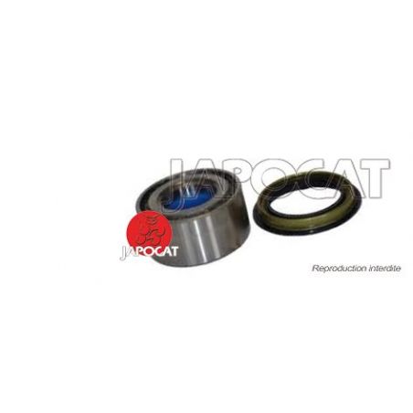 KIT ROULEMENT de ROUE Arrière (Equipementier Origine)