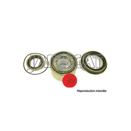 KIT ROULEMENT AR Y60/61 OEM