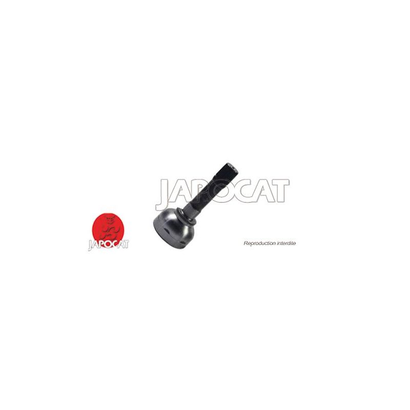 JOINT HOMOCINETIQUE / TETE de CARDAN