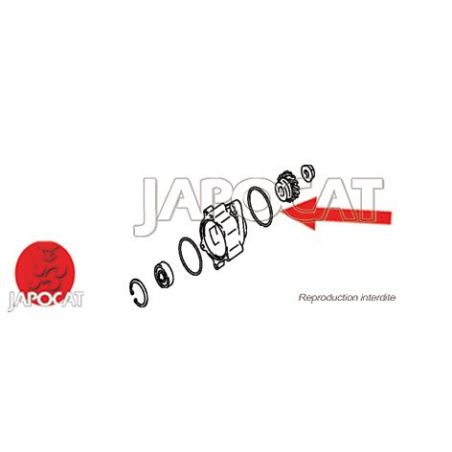 JOINT TORIQUE (Origine Constructeur)