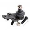 BALL JOINT (Lower) (OEM)