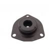 STRUT MOUNTING