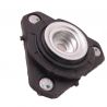 STRUT MOUNTING (Front)