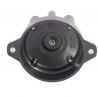 DISTRIBUTOR CAP