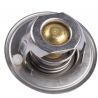 THERMOSTAT (Aftermarket)