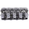 CYLINDER HEAD (Naked)