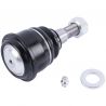 BALL JOINT (Lower) (Aftermarket)