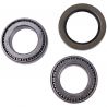 WHEEL BEARING KIT (Rear) (Aftermarket)
