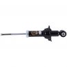 SHOCK ABSORBER (Rear, Gas)
