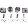 PISTON KIT (Inc. Pins, Exc. Rings)