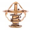 THERMOSTAT [Origine Constructeur]