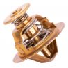 THERMOSTAT [Générique]