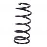 COIL SPRING (Rear, Standard)