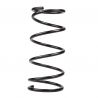 COIL SPRING (Front, Standard)