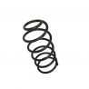 COIL SPRING (Front, Standard)