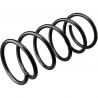 COIL SPRING (Rear, Standard)
